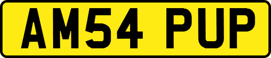AM54PUP