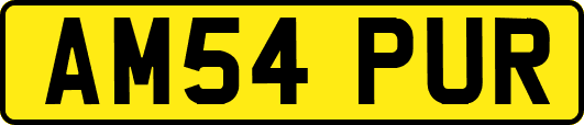AM54PUR