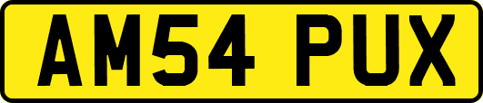 AM54PUX