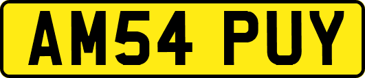 AM54PUY