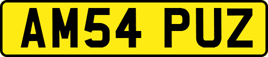 AM54PUZ
