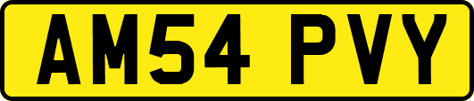 AM54PVY