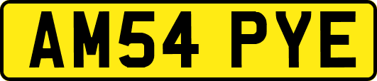 AM54PYE