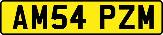 AM54PZM