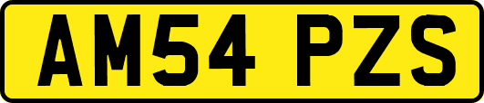 AM54PZS