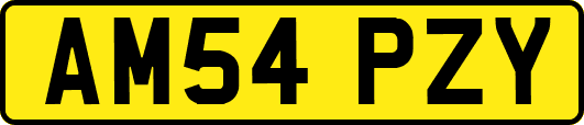 AM54PZY