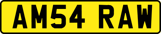 AM54RAW