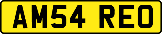 AM54REO