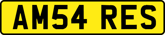 AM54RES
