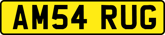 AM54RUG
