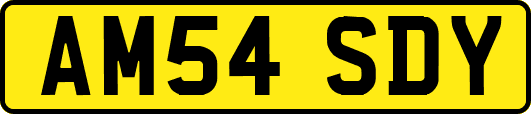 AM54SDY