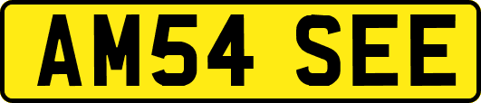 AM54SEE