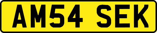 AM54SEK