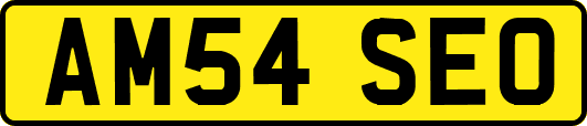 AM54SEO