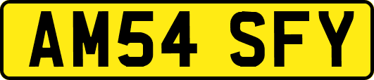 AM54SFY