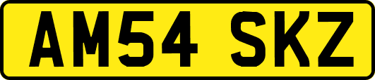 AM54SKZ