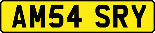 AM54SRY