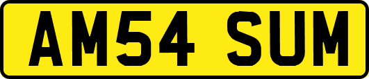 AM54SUM