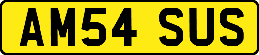 AM54SUS