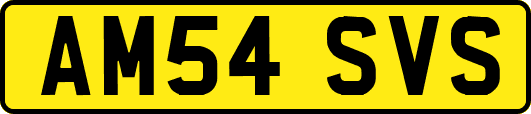 AM54SVS
