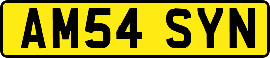 AM54SYN