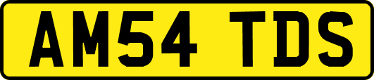 AM54TDS
