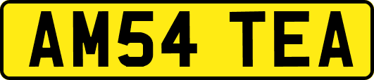AM54TEA