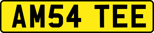 AM54TEE