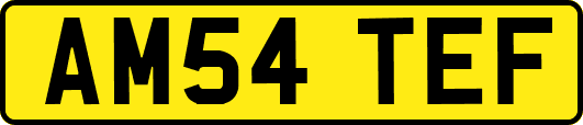 AM54TEF