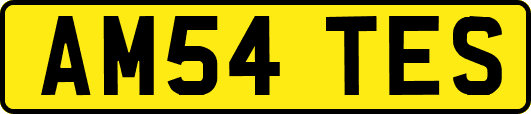 AM54TES