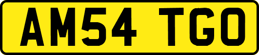 AM54TGO