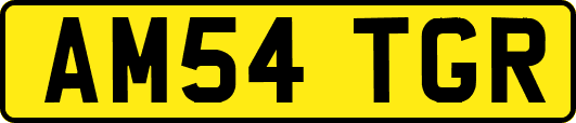 AM54TGR