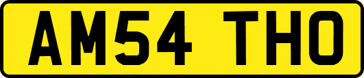 AM54THO