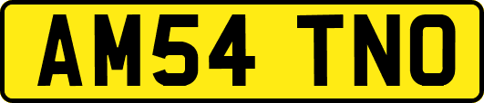AM54TNO