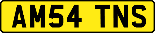 AM54TNS