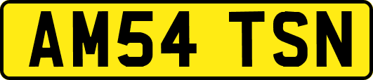 AM54TSN