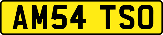 AM54TSO