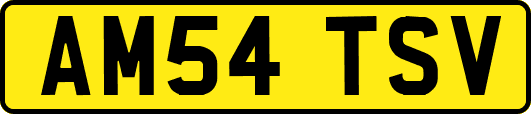 AM54TSV