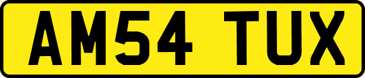 AM54TUX