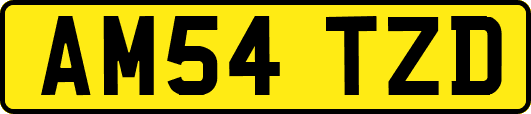 AM54TZD