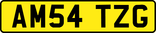 AM54TZG
