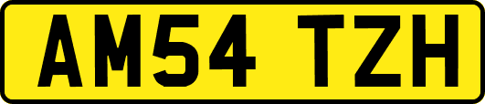 AM54TZH