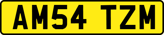 AM54TZM