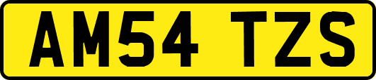 AM54TZS