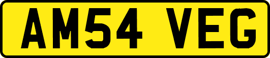 AM54VEG