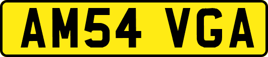 AM54VGA