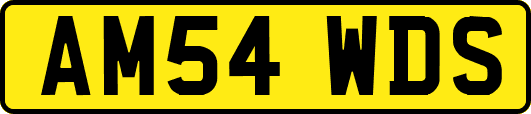 AM54WDS
