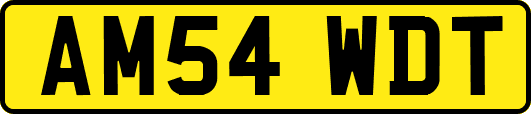 AM54WDT