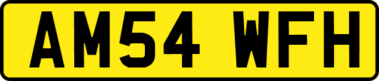AM54WFH