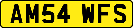 AM54WFS